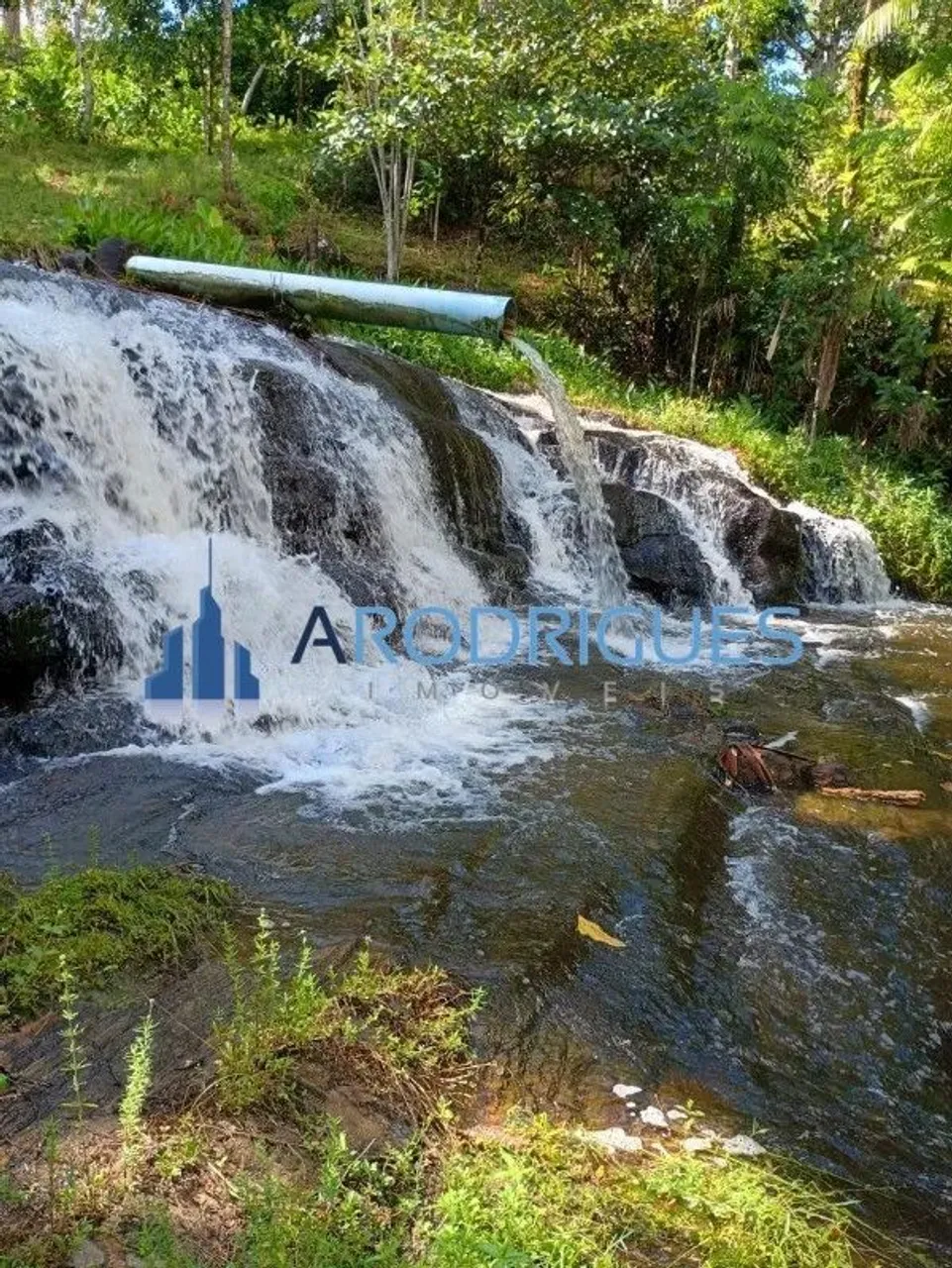 Fazenda à venda em Igrapiúna-BA com 4 quartos, 1 suíte, 1 sala, 2 banheiros e 874 hectares