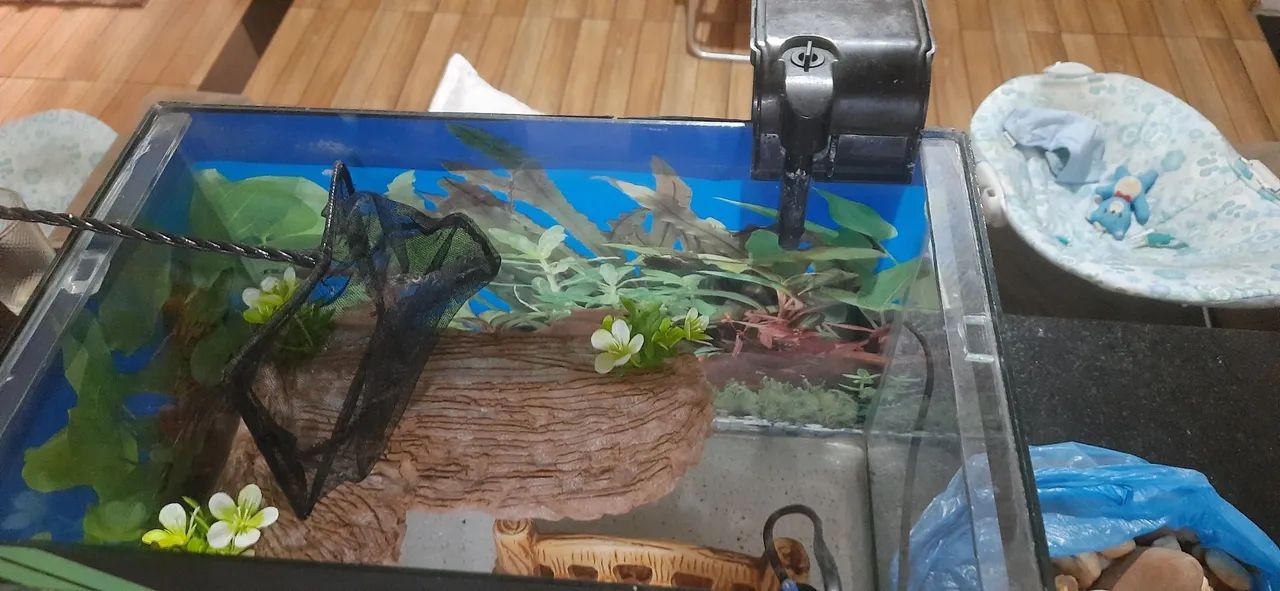 Aquário completo com acessórios