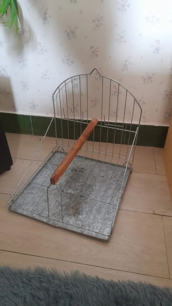 Poleiro para passarinhos64314061359747121