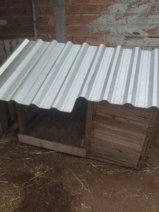 Galinheiro em madeira com telhado de zinco