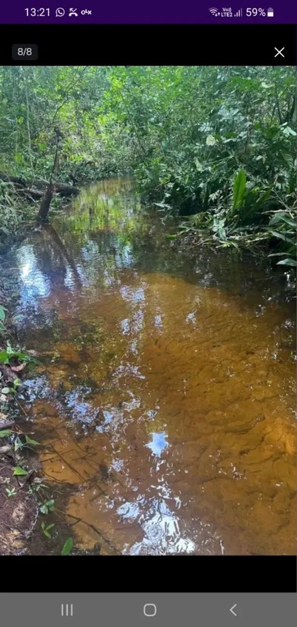 Foto - Manaus - São Geraldo