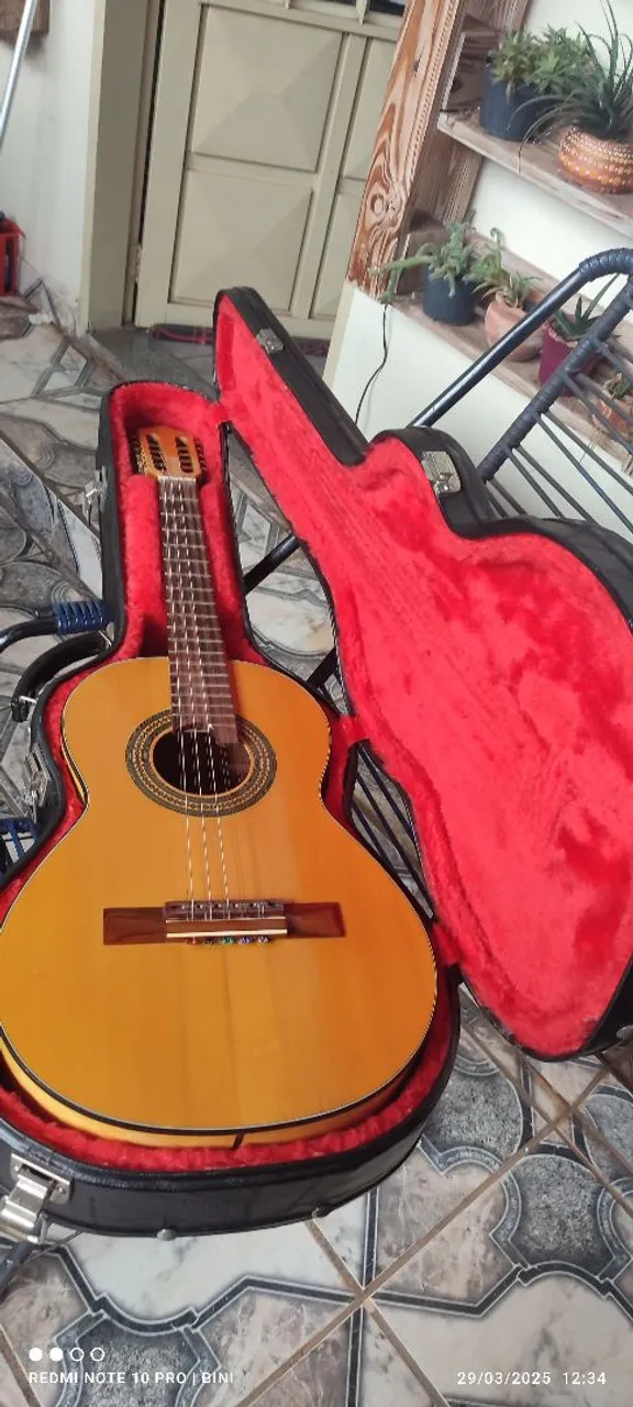 Viola Giannini GVSC2 elétrica