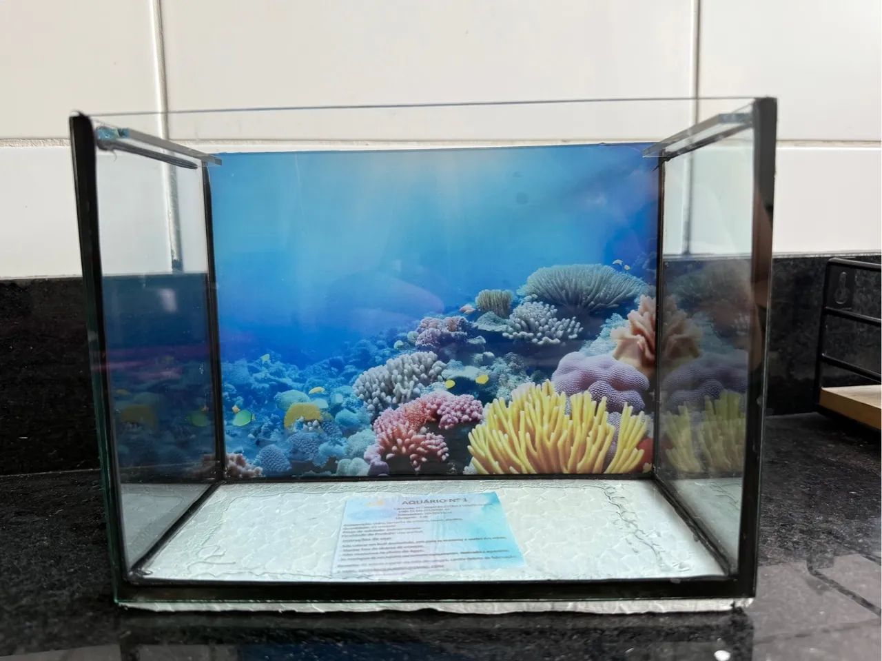 Aquário completo 6L para Peixes
