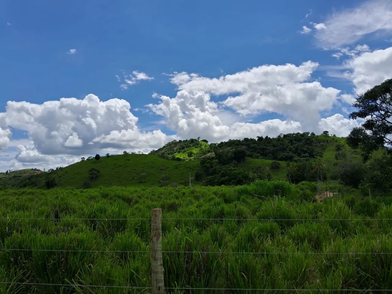 Fazenda 13,5 Alqueire Aimorés - Foto 3