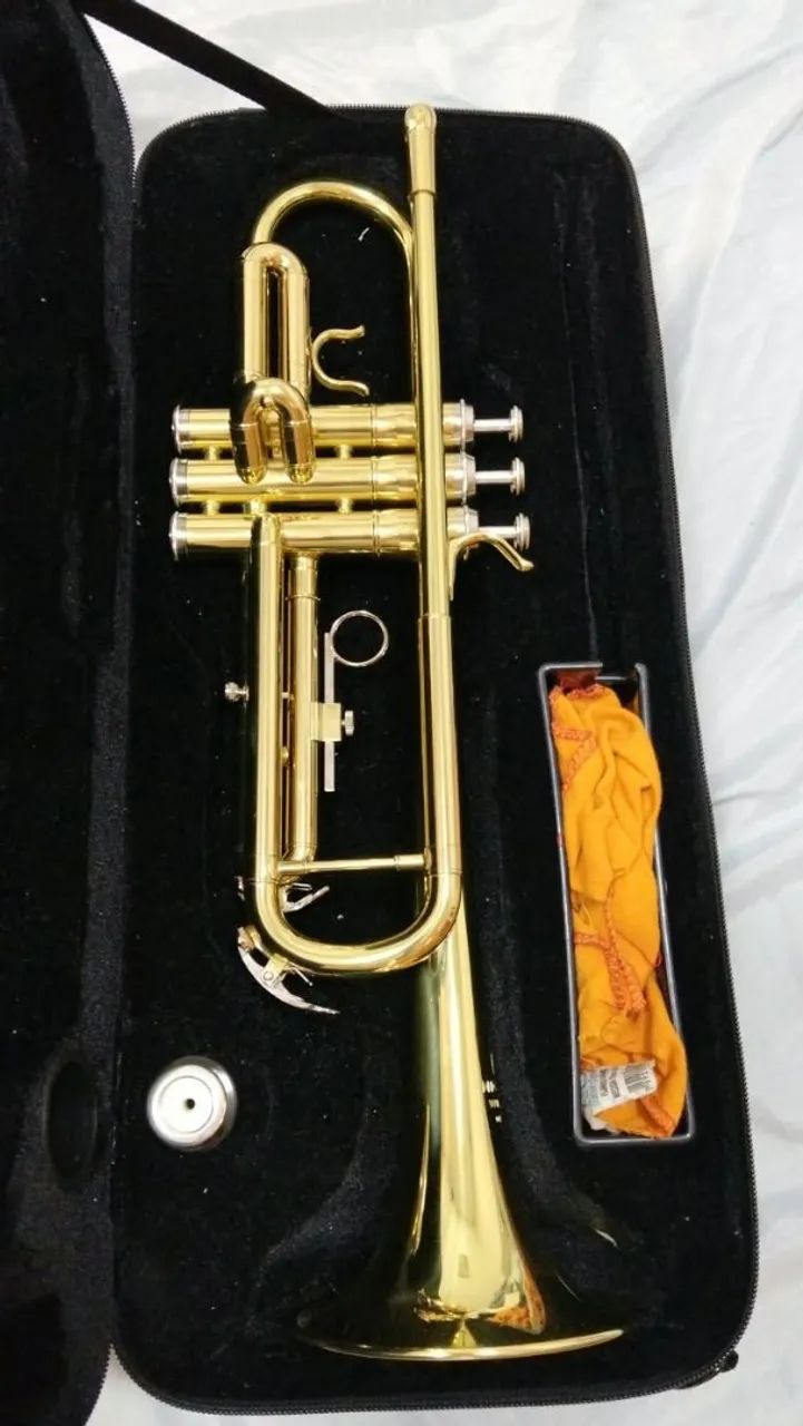Instrumento musical  - Foto 5