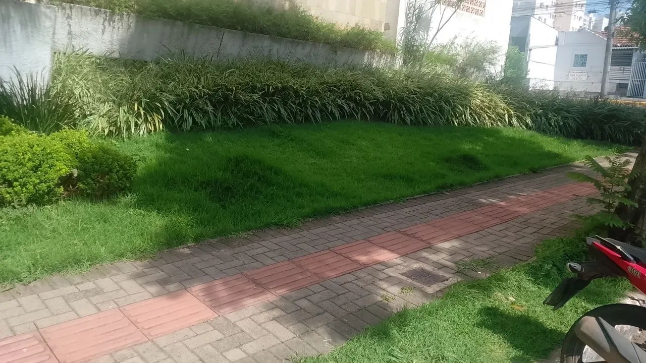 Jardim  - Foto 4