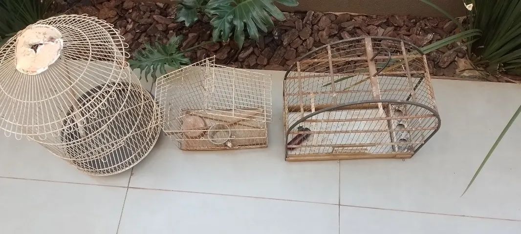 Gaiolas de pássaros em perfeito estado  - Foto 4