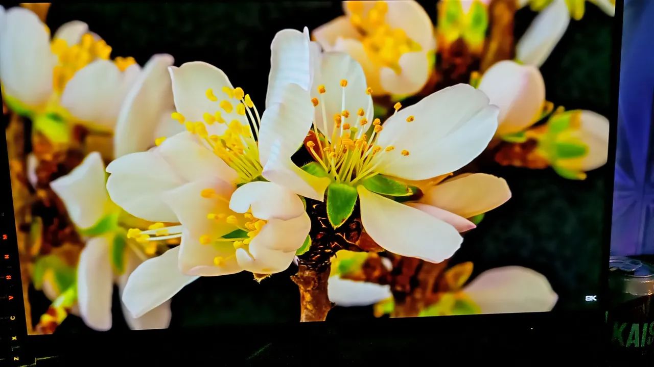 MONITOR AOC 75HZ 21 POLEGADAS  - Foto 3