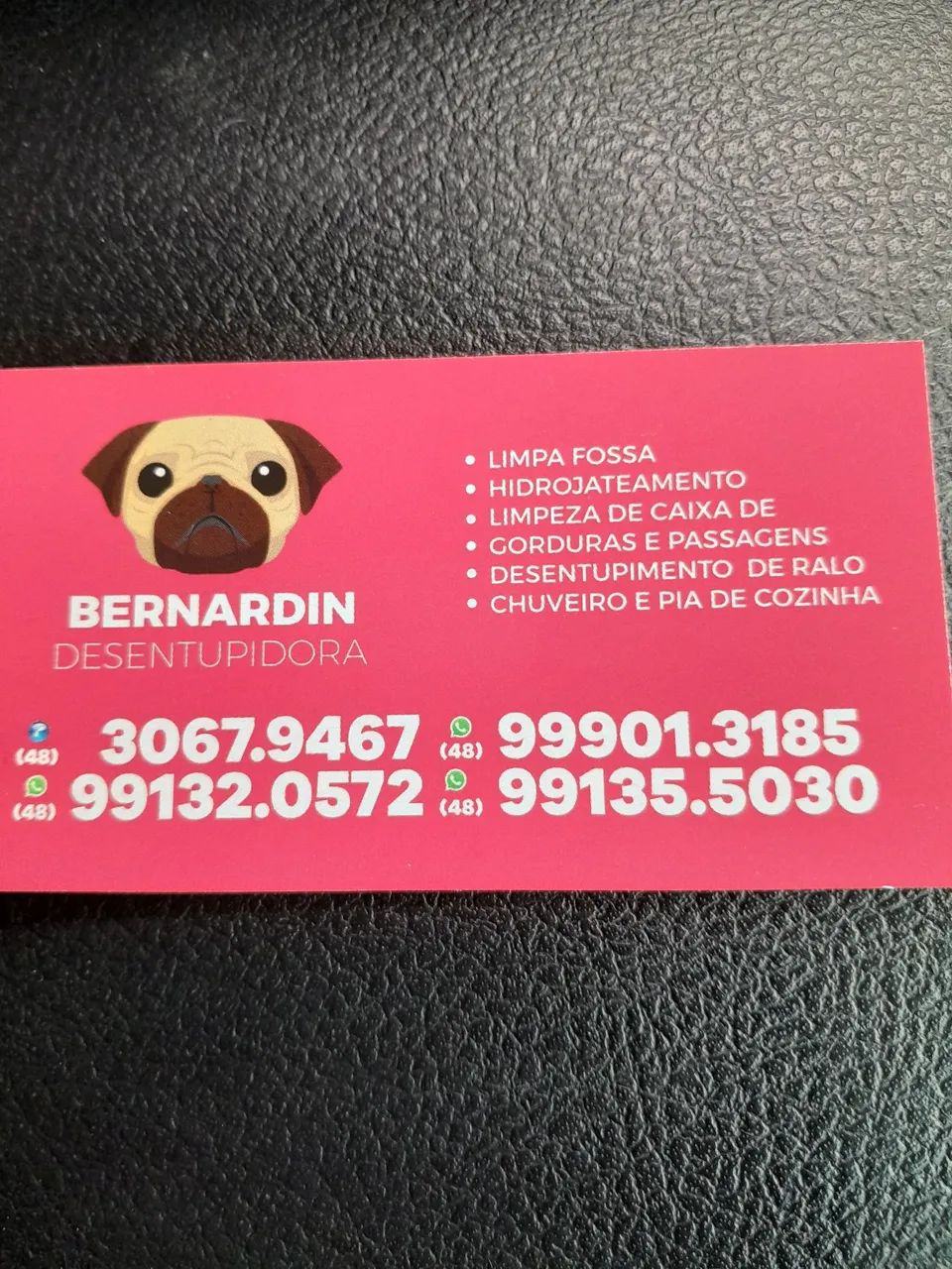 Limpa fossa Bernardin * 