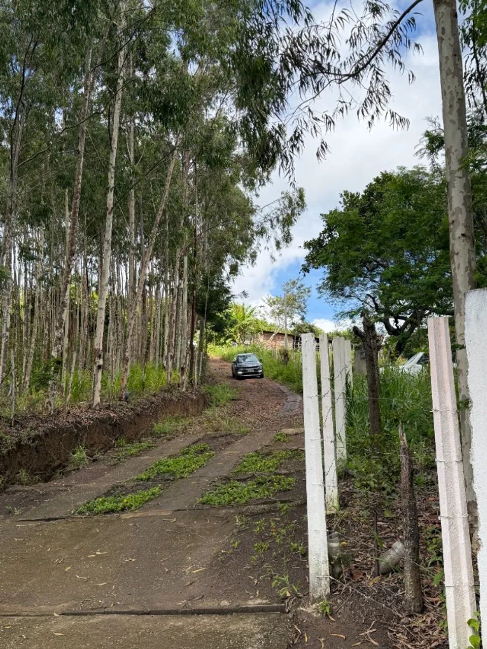 Sítio na Serra de Bananeiras -0,8 ha - Foto 3