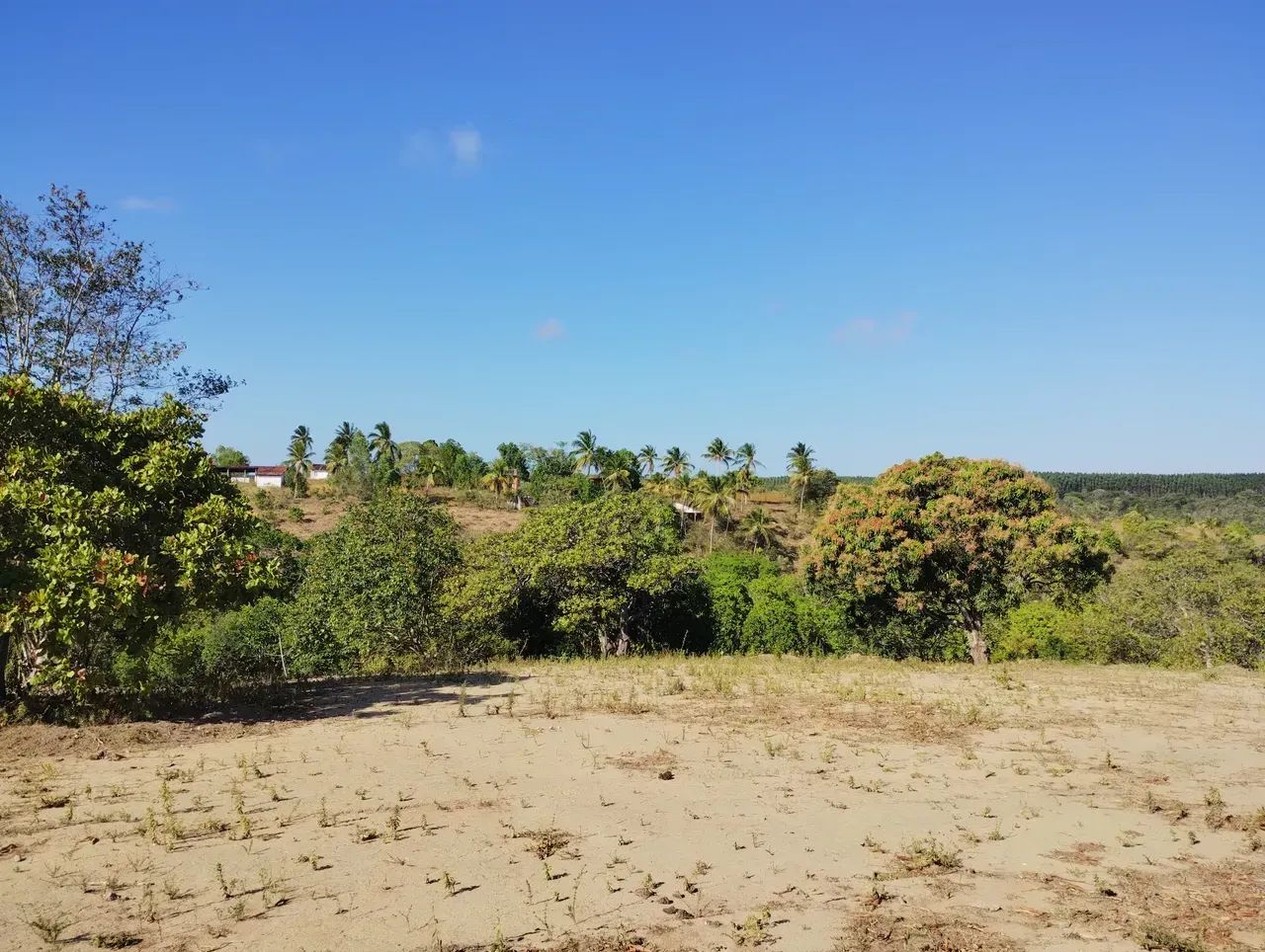 Ipioca, terreno chácara com 5 mil m2 - Foto 2