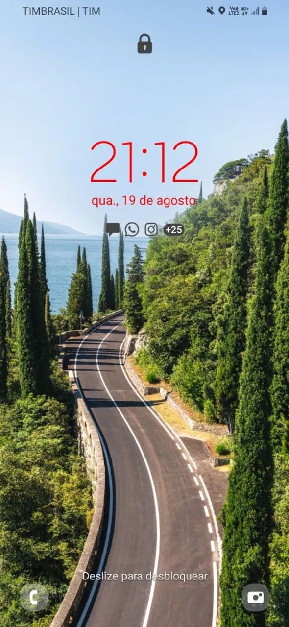 Motorista particular 