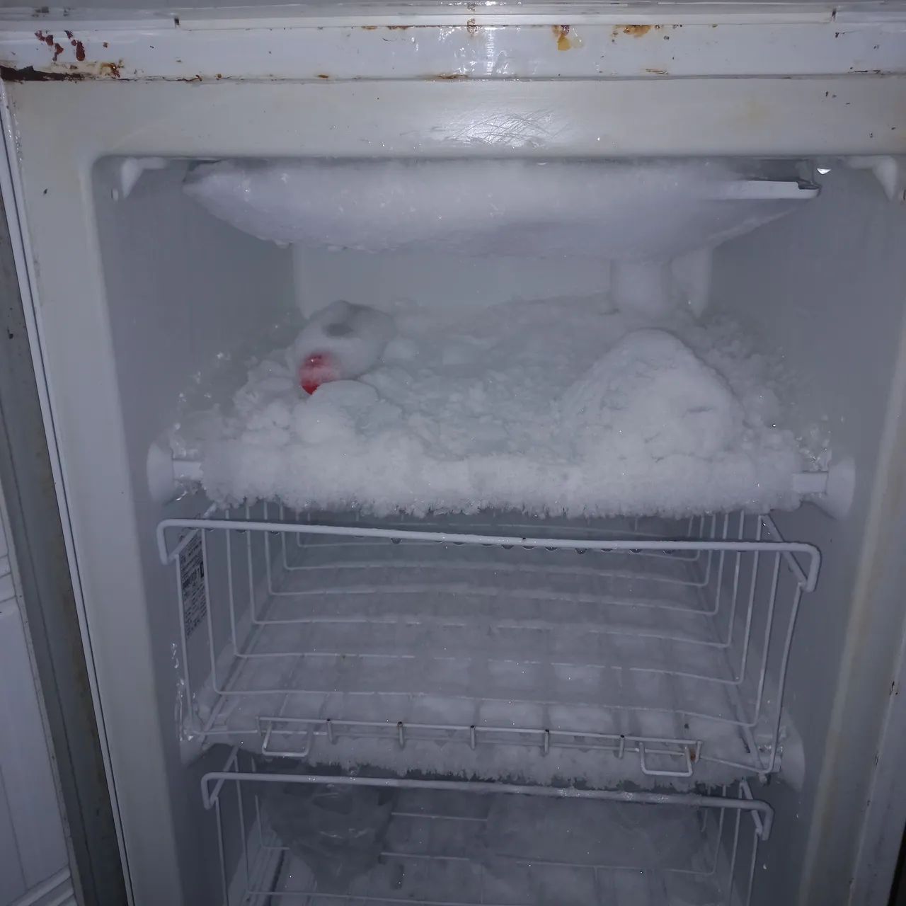 Freezer  - Foto 5