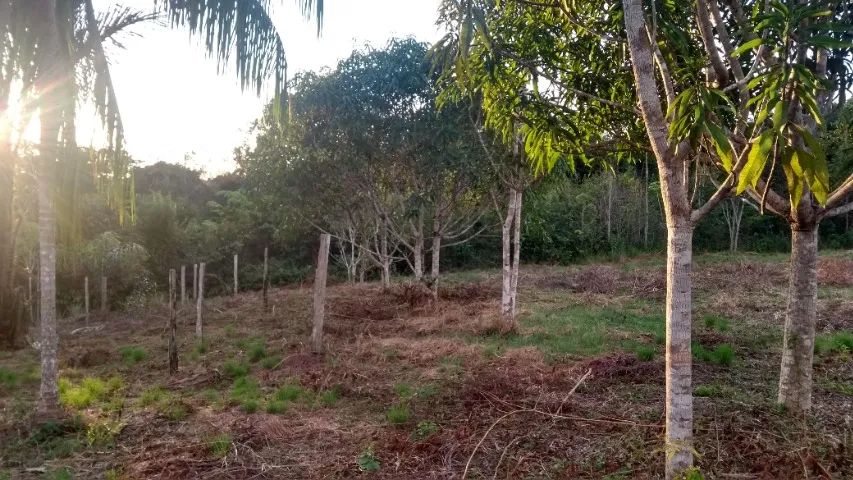 Terreno na AM 240 - Foto 5