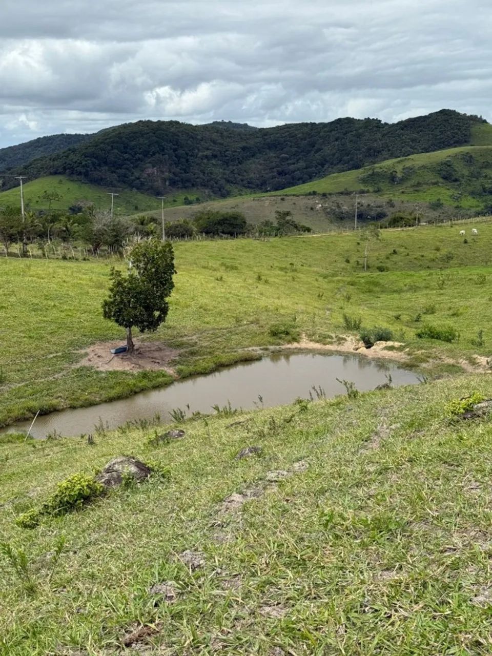 Fazenda para Venda em Atalaia, Zona Rural