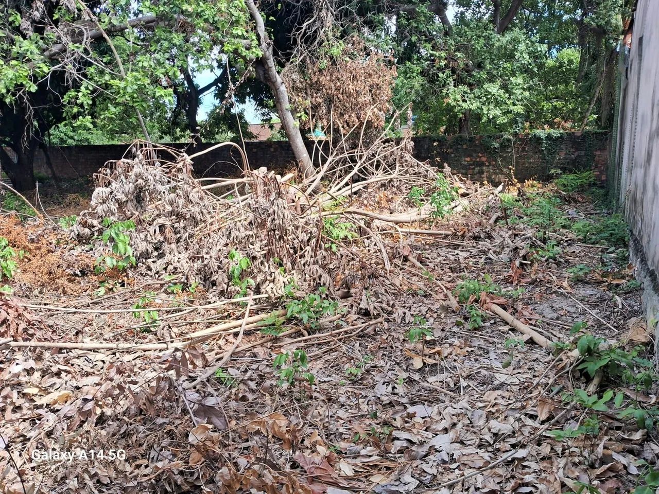 TERRENO PARA VENDA - Foto 5