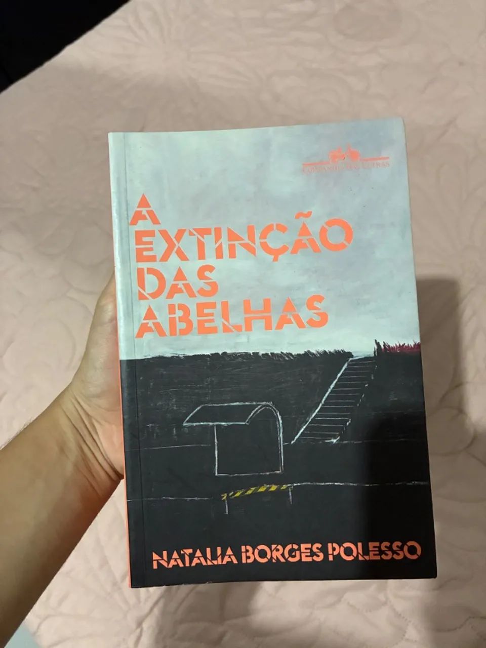 livro A extinção das abelhas