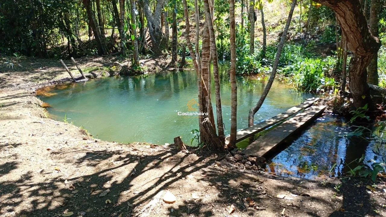 Chácara | Sítio - Curso D'água Perene - 6,25 hectares - Serra do Lajeado - Foto 3