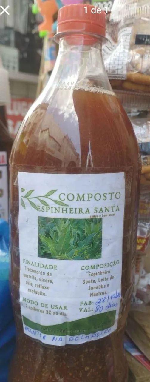Espinheira santa 