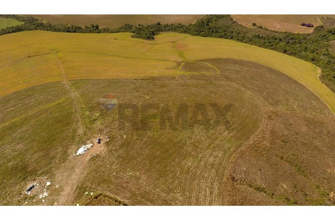 FAZENDA NA SERRA DA CANASTRA - Foto 3