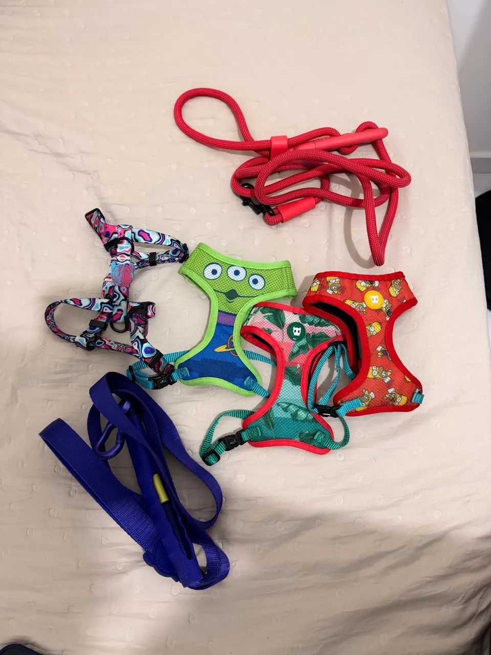 Produtos Zee dog 