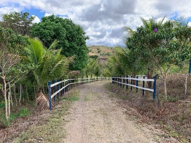 Haras em Gravatá com 5,5 ha.  - Foto 3