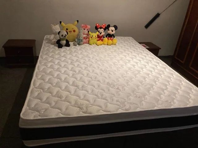CAMA BOX BAÚ E COLCHÃO CASTOR QUEEN (VENDA) - Foto 3