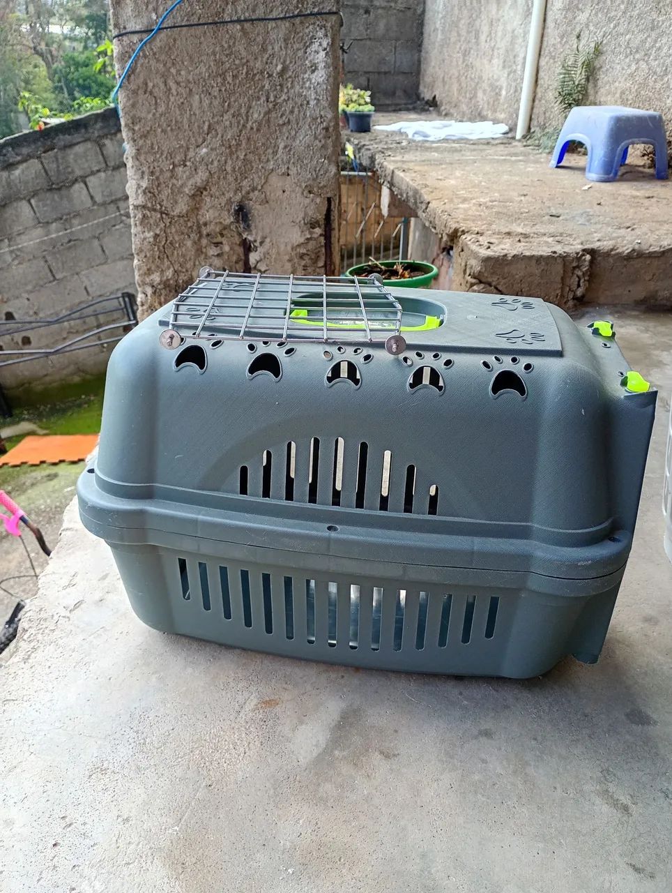 Transporte de pet 