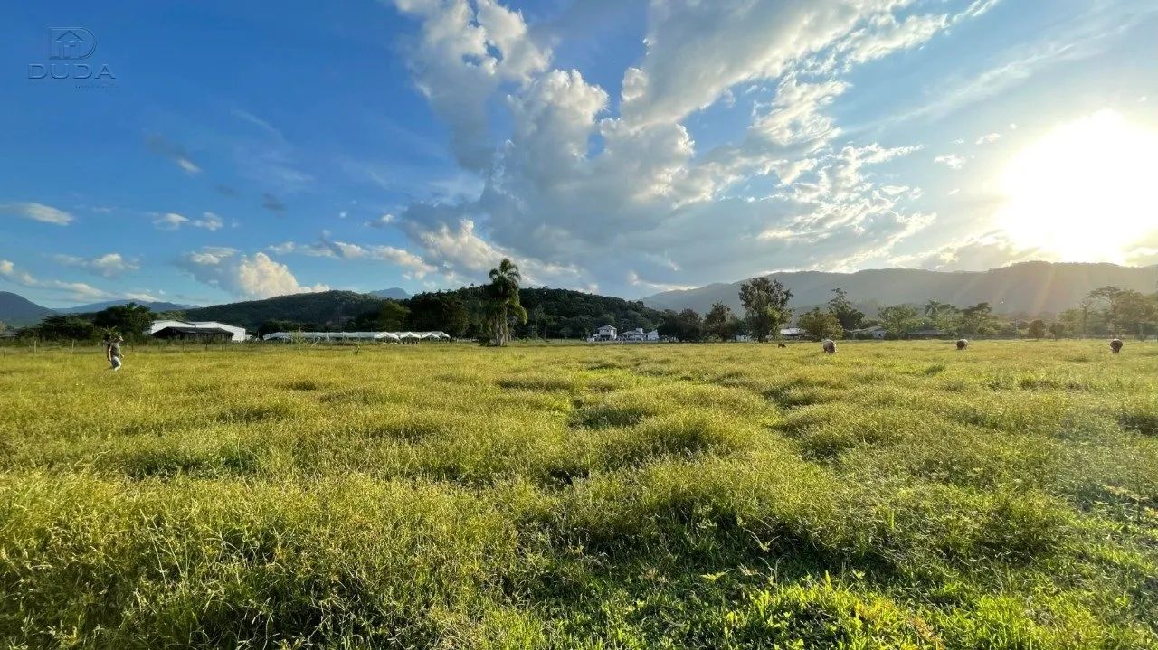 SITIO EM SANTO AMARO - Foto 4