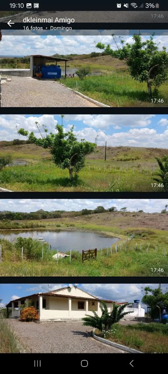 Vaqueiro  - Foto 2