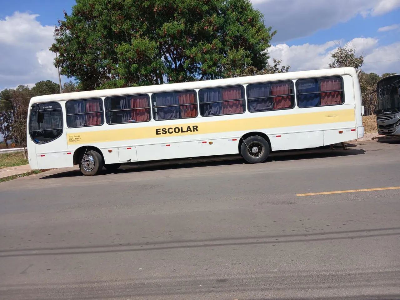 Ônibus comil/svelto
