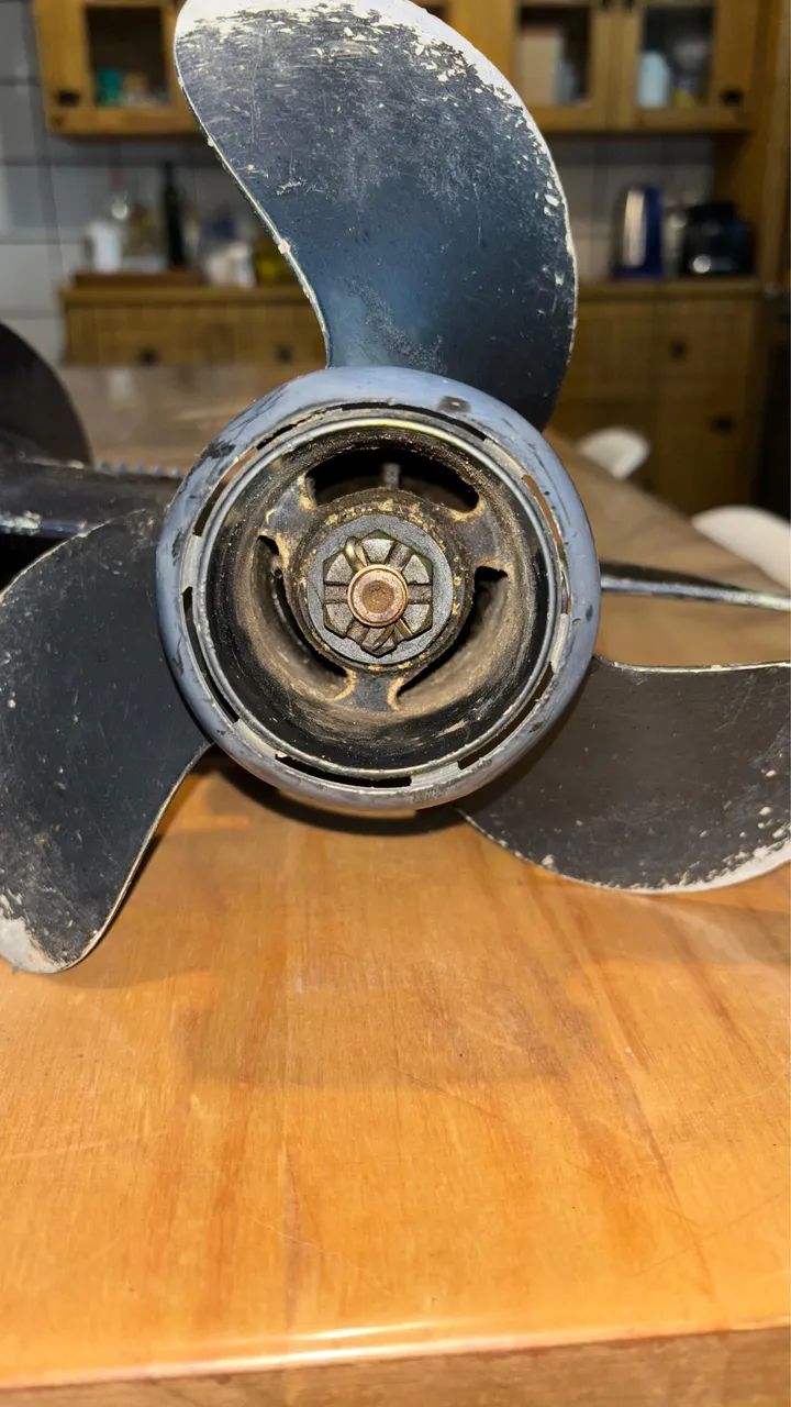rabeta evinrude 15hp - Foto 5