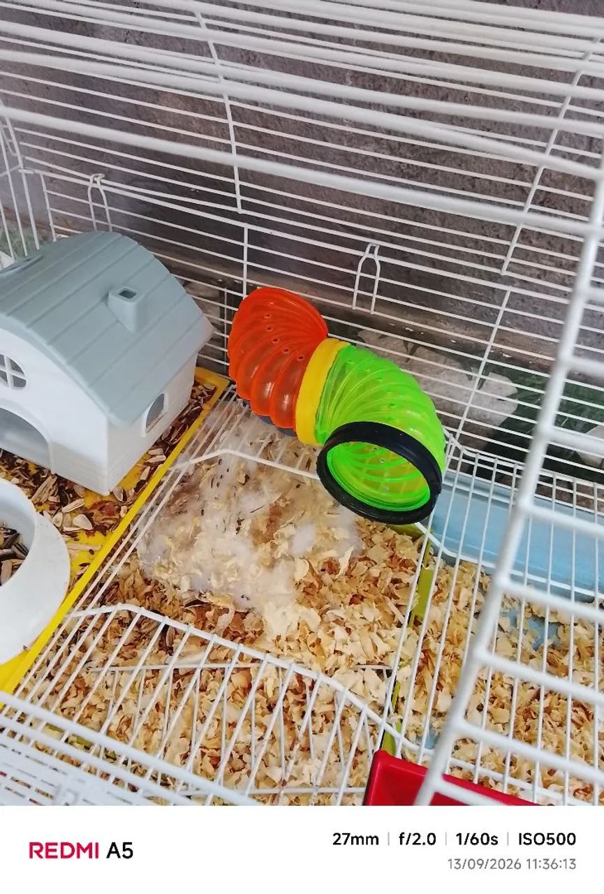 GAIOLA HAMSTER  - Foto 2