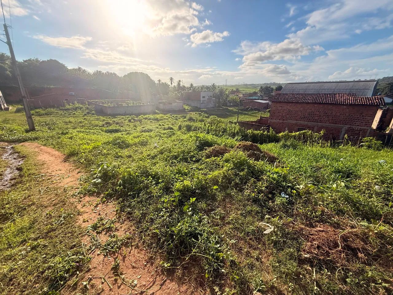 Terreno 150 m² em Paudalho  - Foto 5