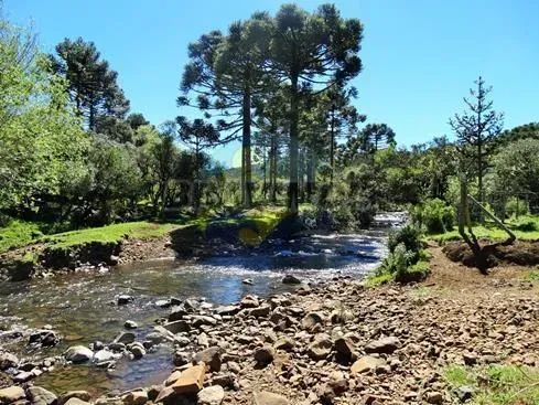 Terreno Rural com Benfeitorias - Urubici/SC - Foto 4