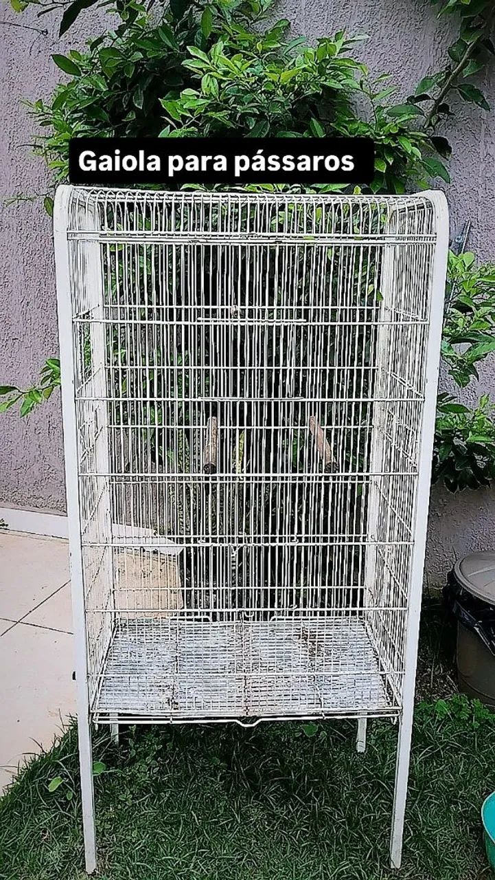 Gaiola  - Foto 3