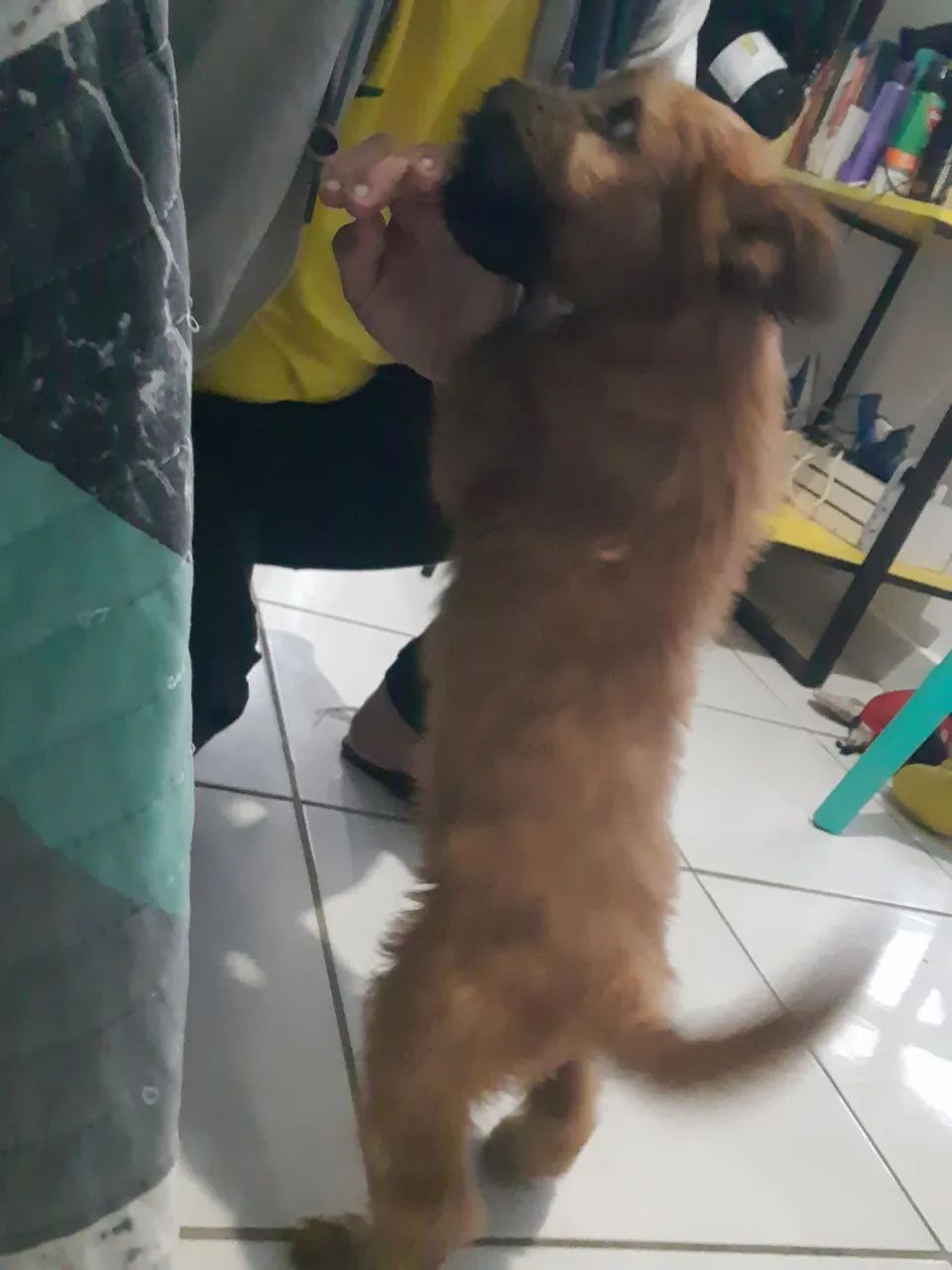 Doação   - Foto 2