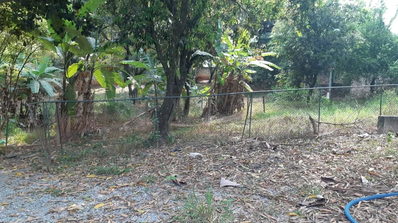 lote 1000 metros Bandeirantes