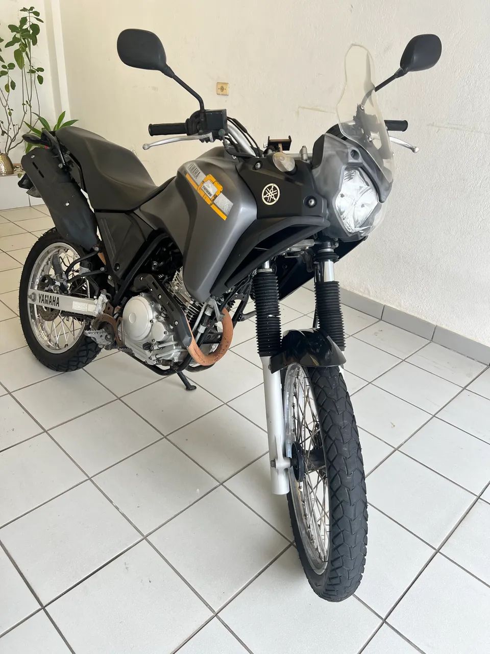Tenere  - Foto 4
