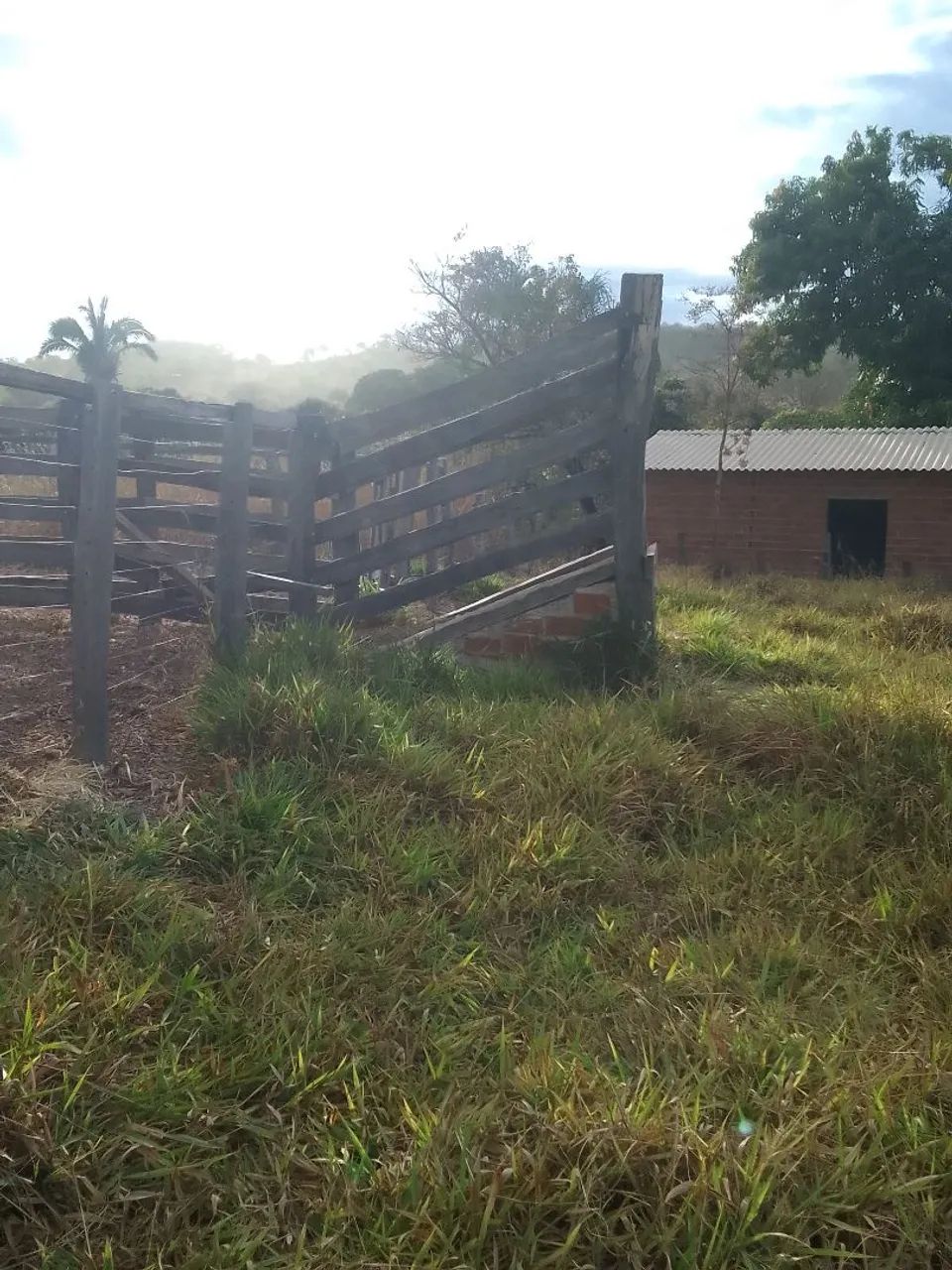 Chácara  - Foto 3