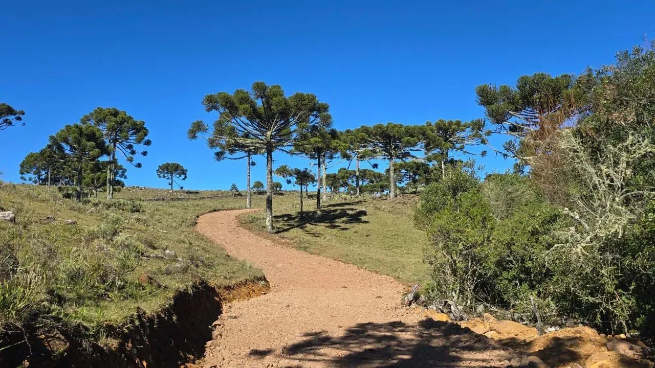 Terreno para empreendimento em Urupema - Foto 5