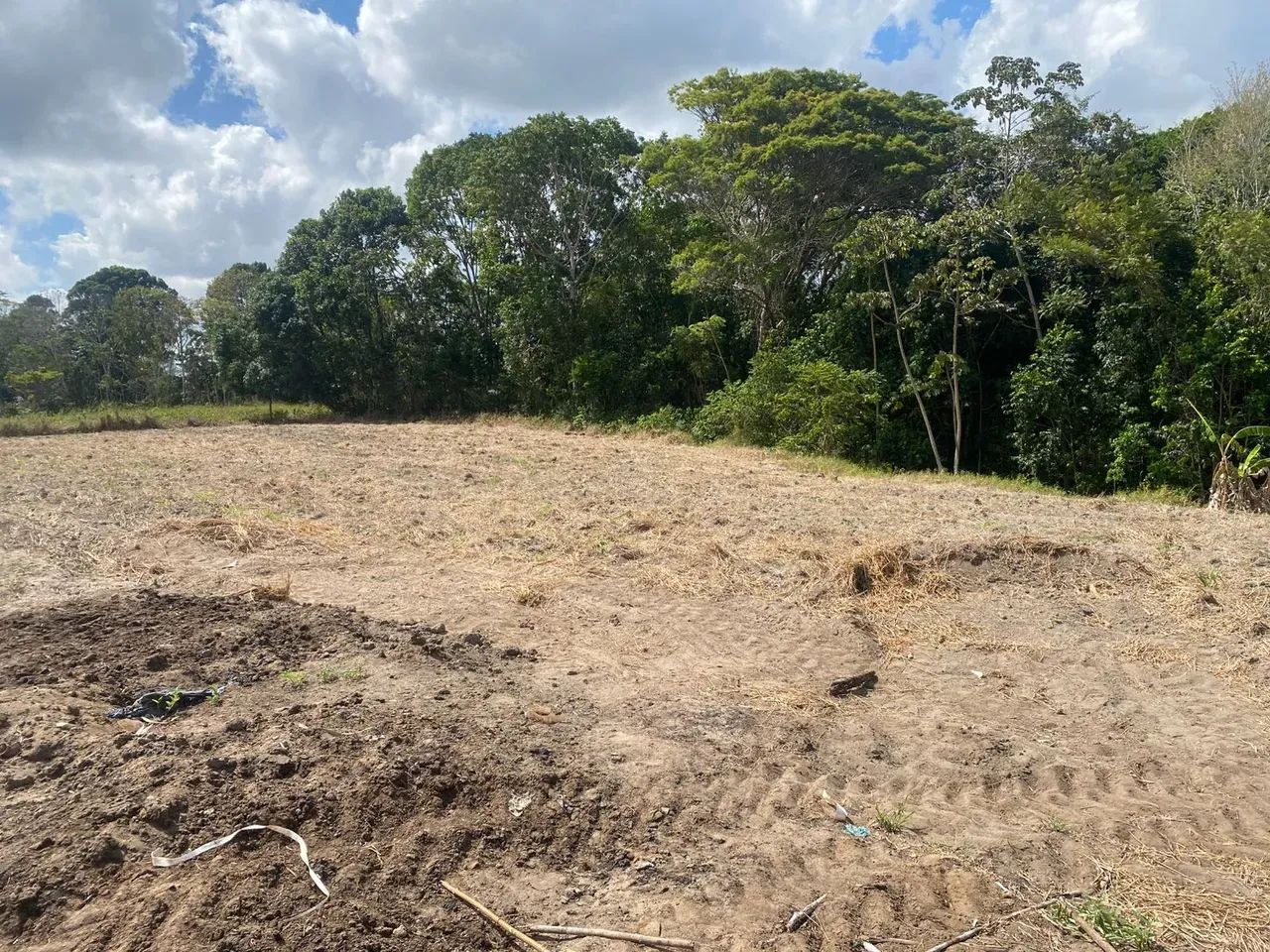 Excelente terreno Rural no Engenho Pitanga, em Igarassu, 4,5ha (123m X 366m) - Foto 7