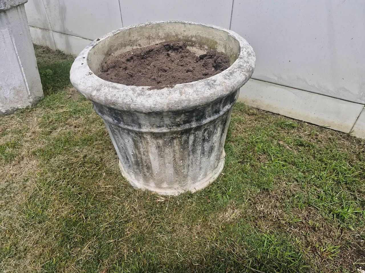 Jaros de plantas - Foto 3