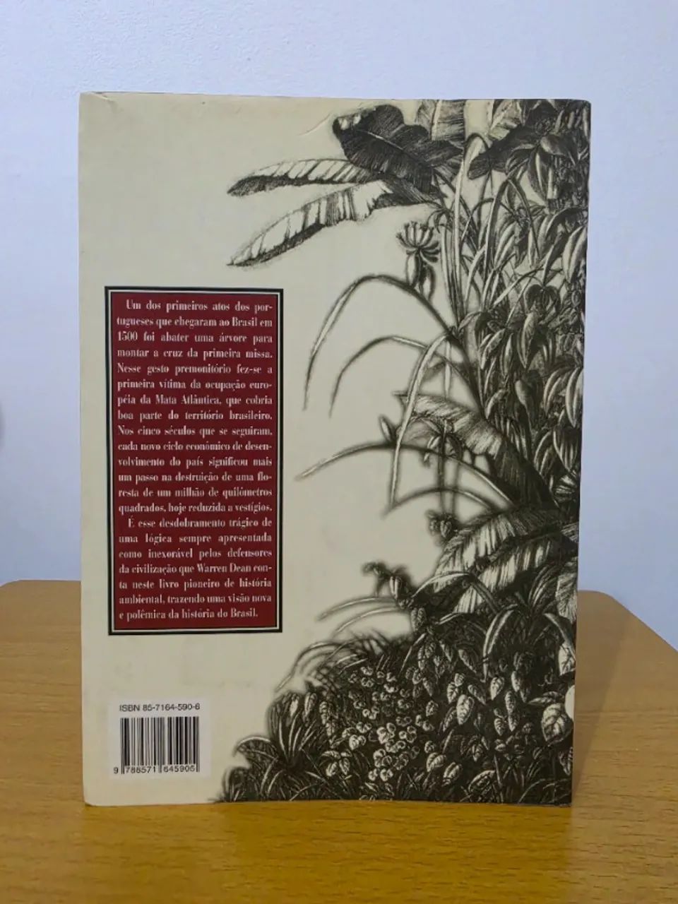 A Ferro e Fogo Warren Dean - Foto 2