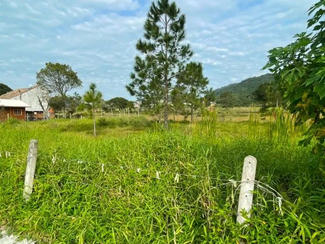 Terreno parcelado 60x nos Ingleses - Foto 5