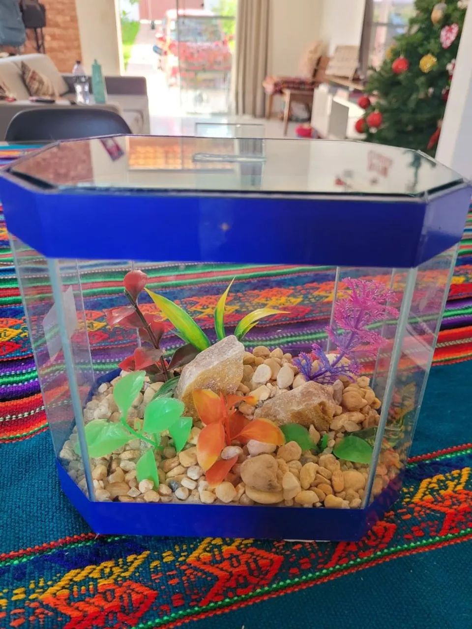 Aquário para betas, número 2, intacto