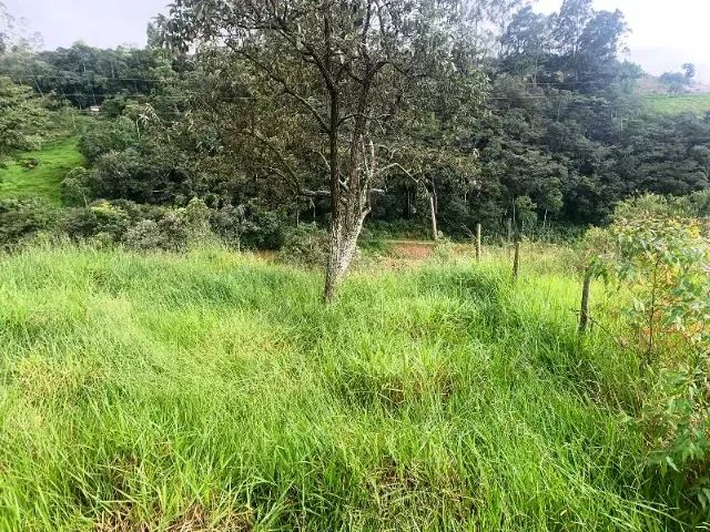 Terreno 500 metros - Foto 5