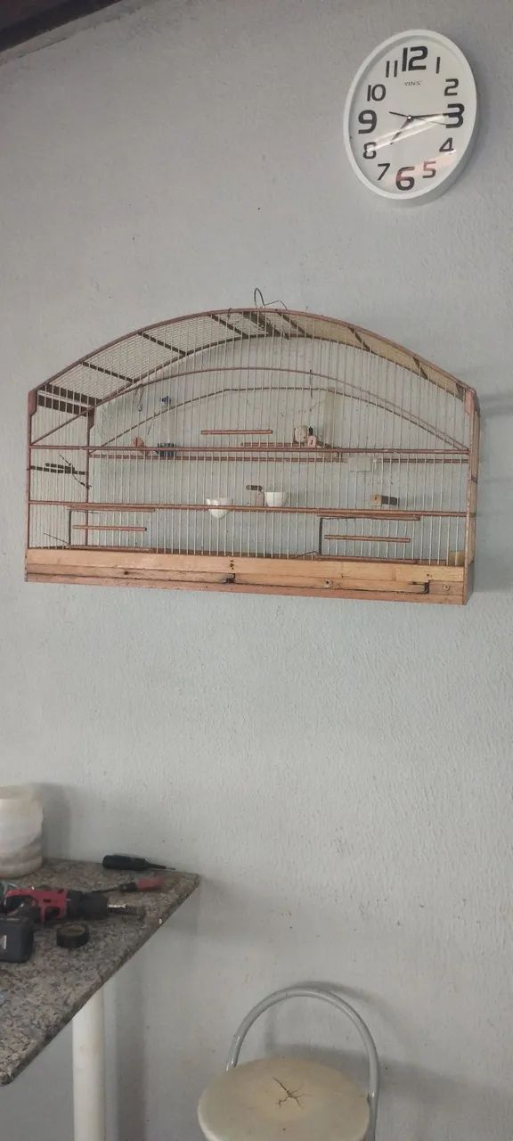 Gaiola - Foto 2