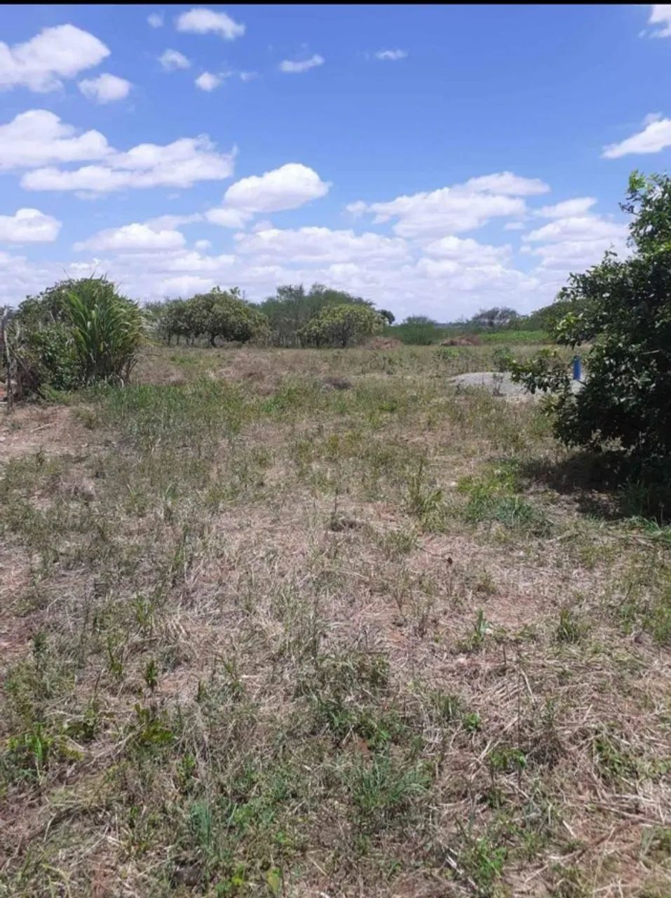 VENDE-SE TERRENO - Foto 2