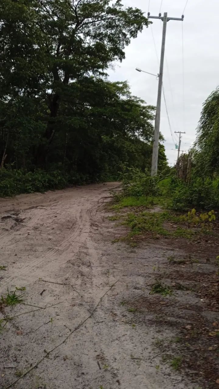 Terreno em Morros Próx Rio Unas - Foto 3